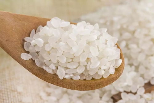 适糖米与咖啡 开启健康生活新篇章，助力迈向无糖时代